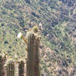 20251105_134958 20251105_134958